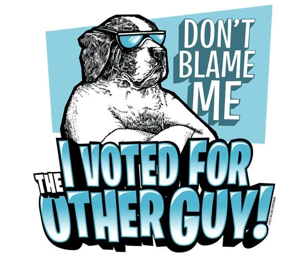 I Voted For The Other Guy T-Shirt - Image 2