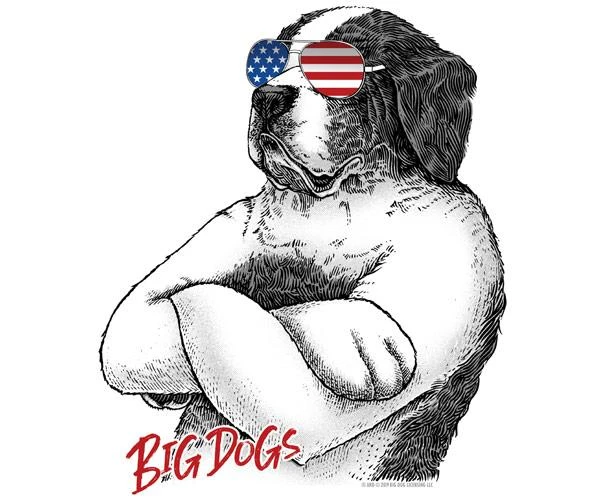 Stars & Stripes Bad Dog T-Shirt - Image 2