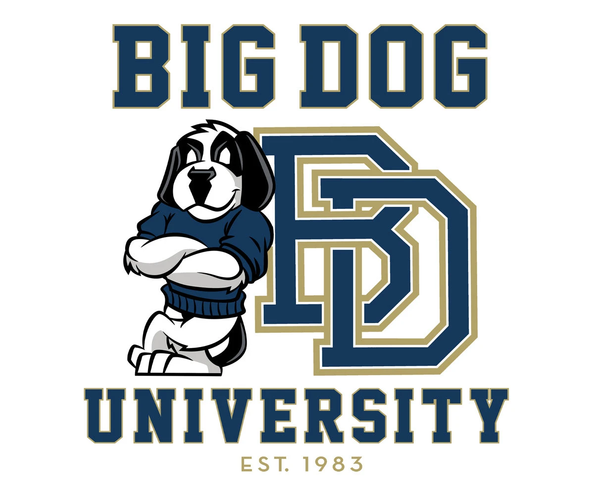 Bd University Navy Gold T-shirt - Image 2