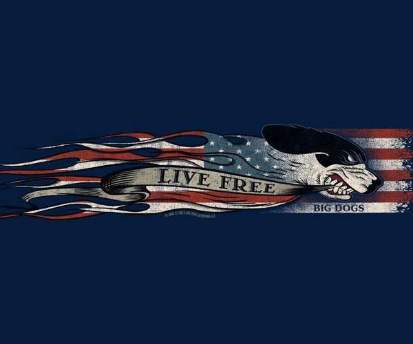 Live Free Chest Stripe T-Shirt - Image 2