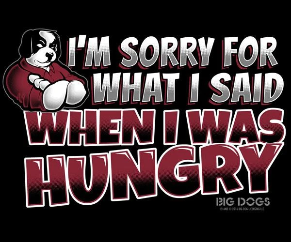 Sorry For What I Said T-Shirt - Image 2