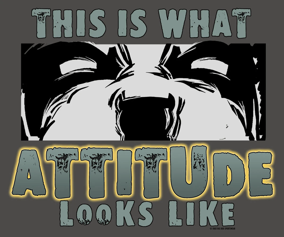 Atitude Looks Like T-Shirt - Image 2