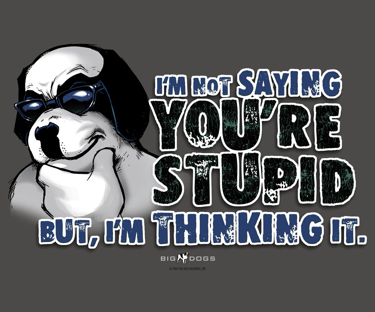Not Saying You Are Stupid T-Shirt - Image 2