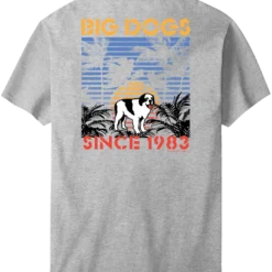 Sunset Stripe T-Shirt