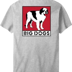 Box Logo Red T-shirt