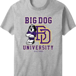 Bd University Purple Gold T-shirt