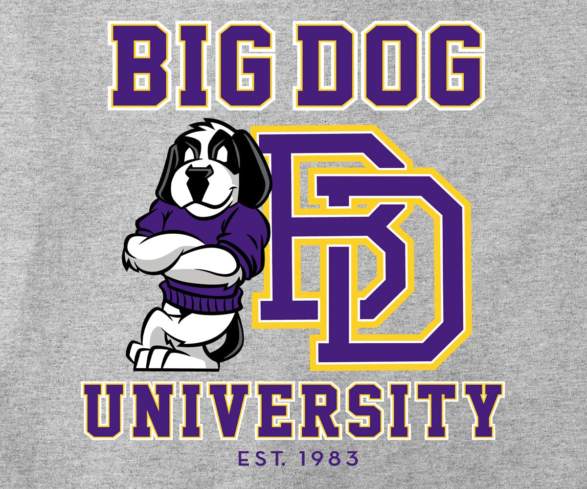 Bd University Purple Gold T-shirt - Image 2