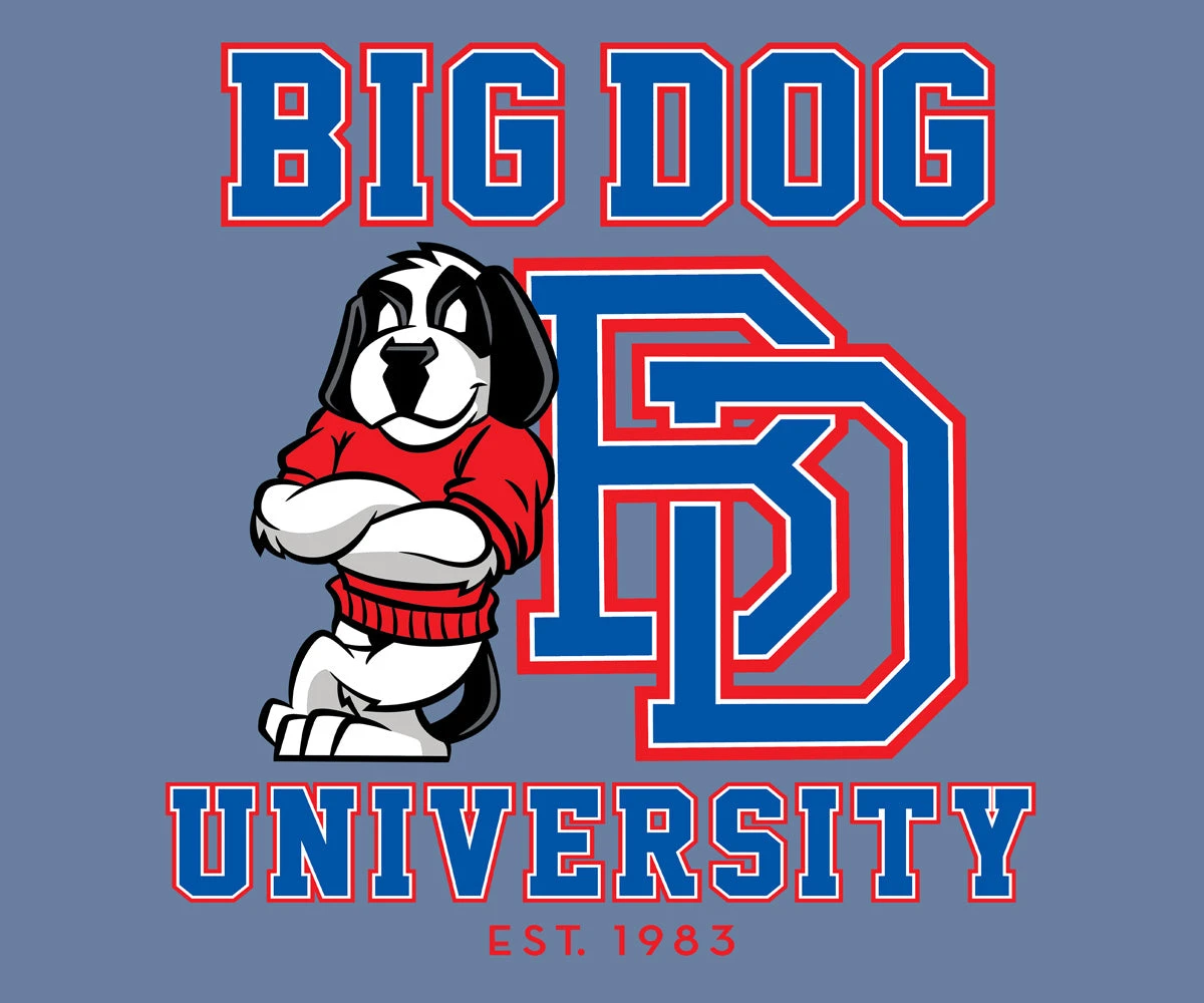 Bd University Red Blue T-shirt - Image 2