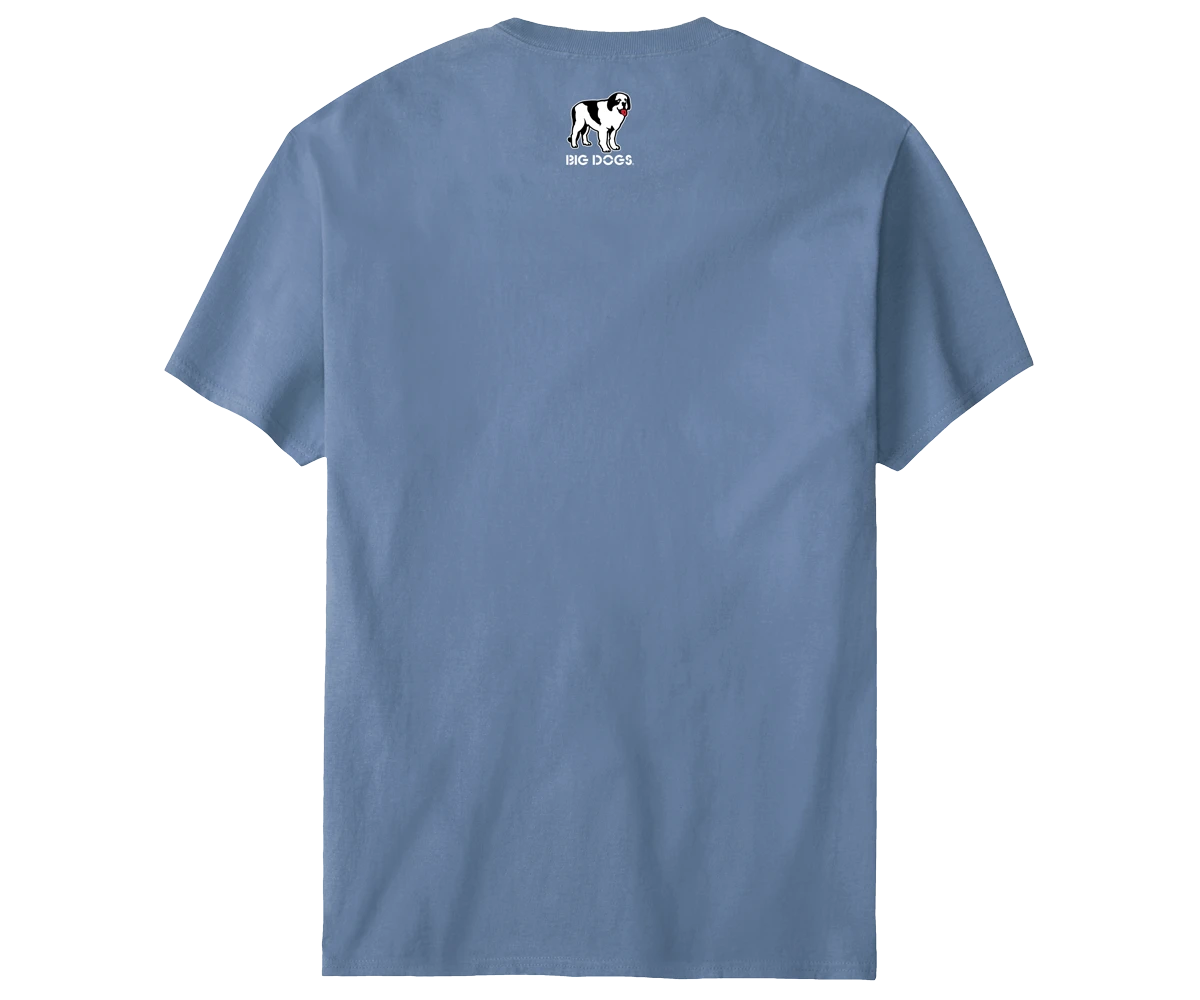 Bd University Red Blue T-shirt - Image 3