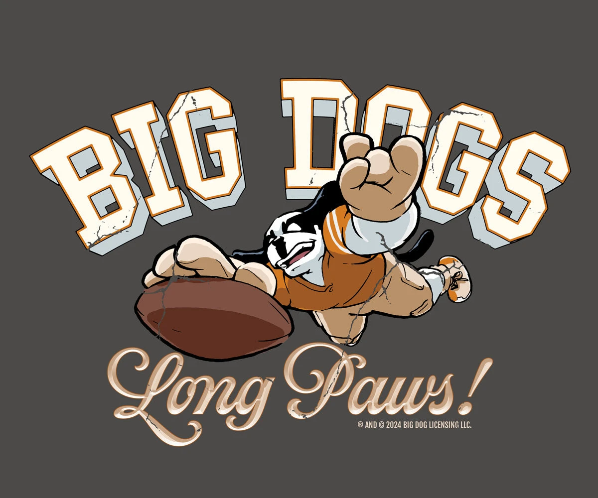 BDCF Texas T-shirt - Image 2