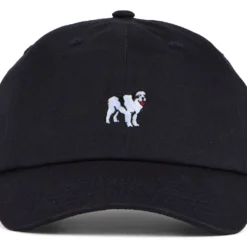 Dog Dad Icon Hat