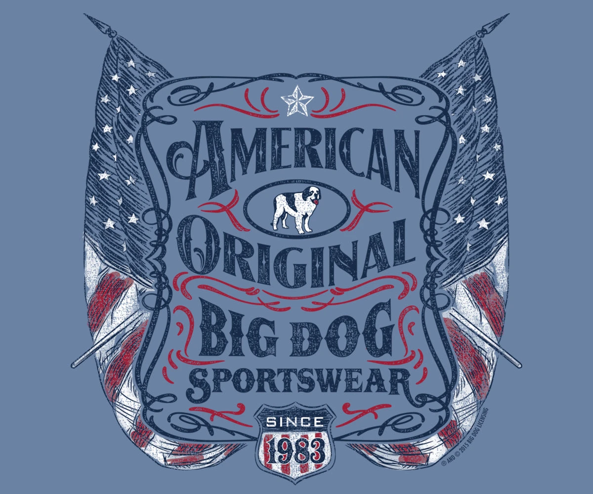 American Original T-Shirt - Image 2